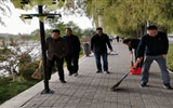 向祖國獻禮，志愿活動在行動