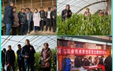 現(xiàn)代農(nóng)業(yè)技術(shù)系開展“喜迎己亥新春佳節(jié)、送科技送文化下鄉(xiāng)”主題黨日活動